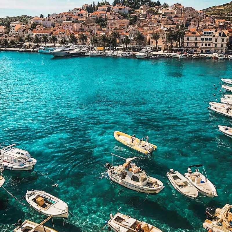 pexels-vince-2265876